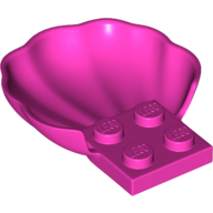 Classic Muschel mit 4 Knopf