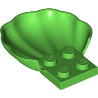 Classic Muschel mit 4 Knopf