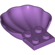 Classic Muschel mit 4 Knopf