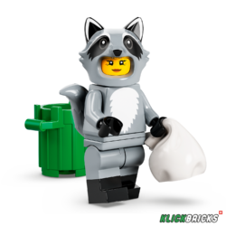 Serie 22 Waschbär-Fan Figur 10 (71032)