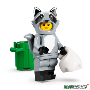 Serie 22 Waschbär-Fan Figur 10 (71032)