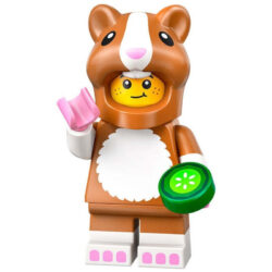 Serie 27 Hamsterkostüm-Fan Figur 1 (71048)